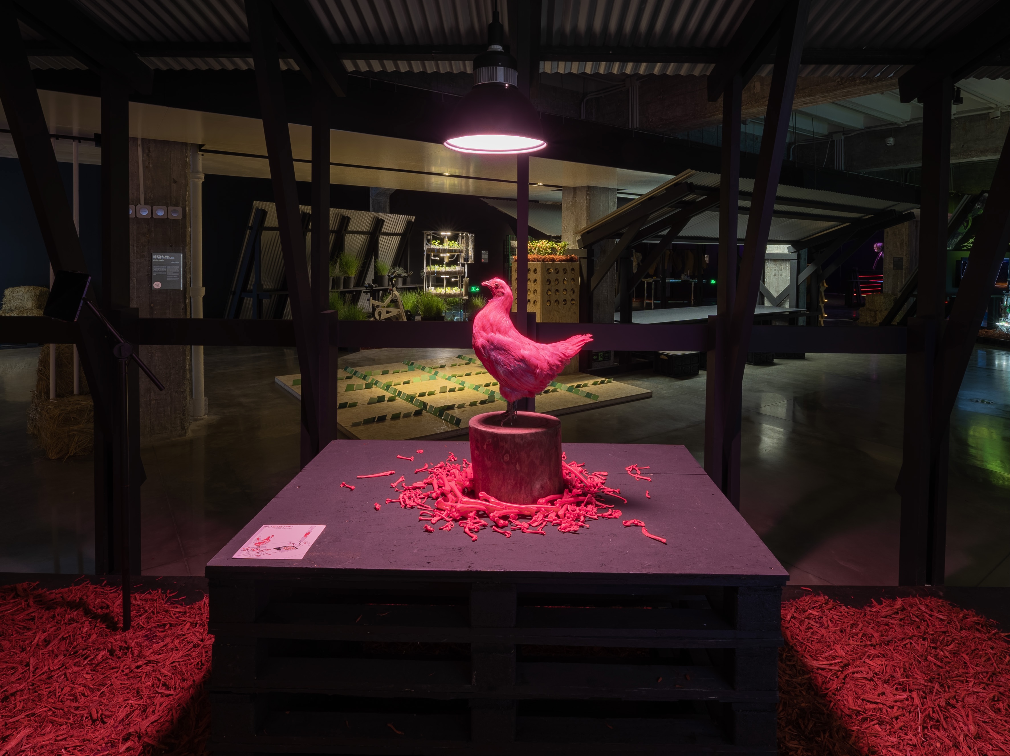 《粉红鸡计划，混合媒介》，2017
Nonhuman Nonsense Studio